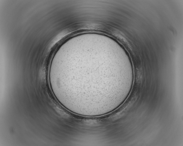 X0000113021114200909241629