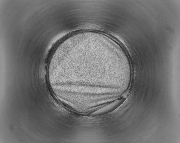 X0000113021115200909241629