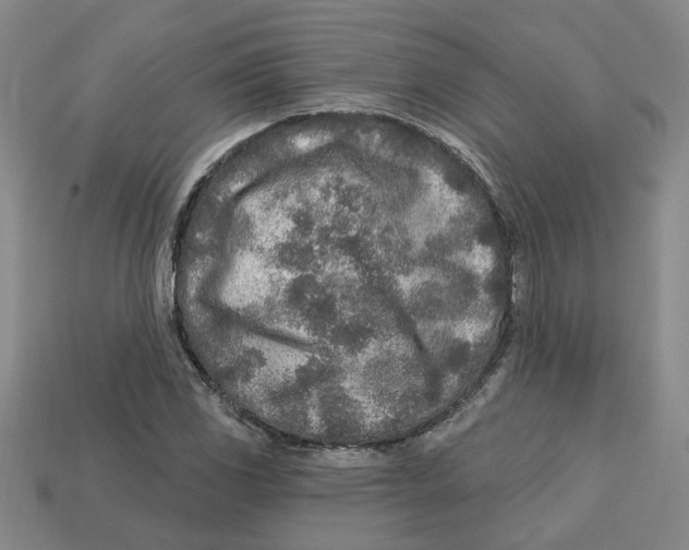 X0000113021117200909241629