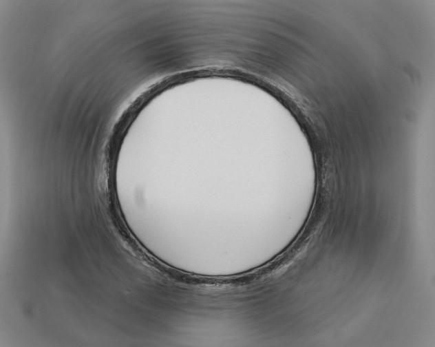 X0000113021118200909241629