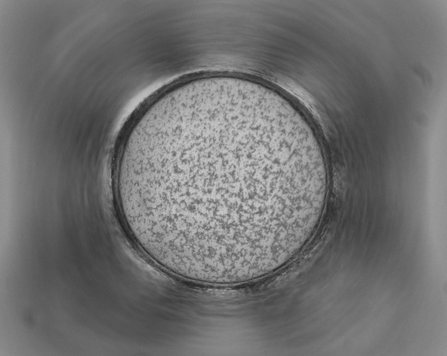 X0000113021120200909241629