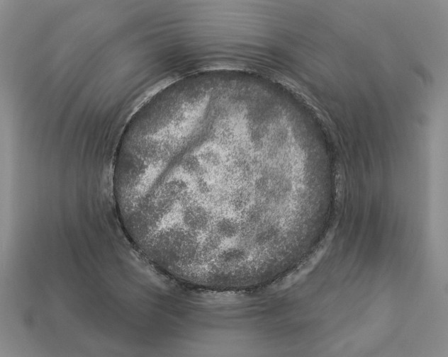 X0000113021121200909241629