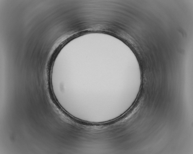 X0000113021122200909241629