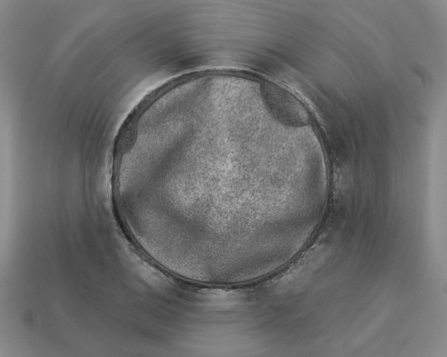 X0000113021124200909241629