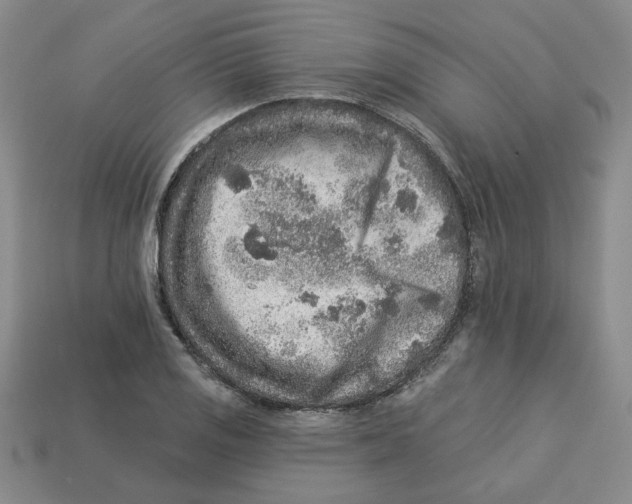 X0000113021125200909241629