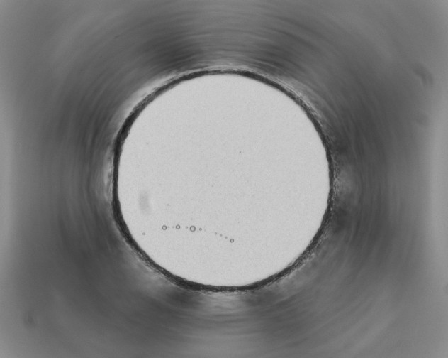 X0000113021126200909241629