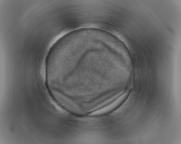 X0000113021127200909241629