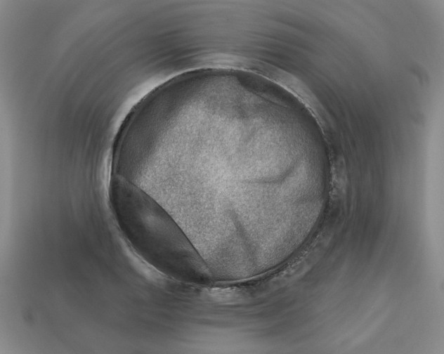 X0000113021128200909241629