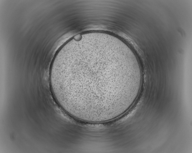 X0000113021129200909241629