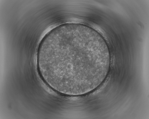 X0000113021130200909241629