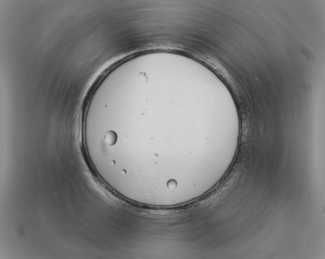 X0000113021132200909241629