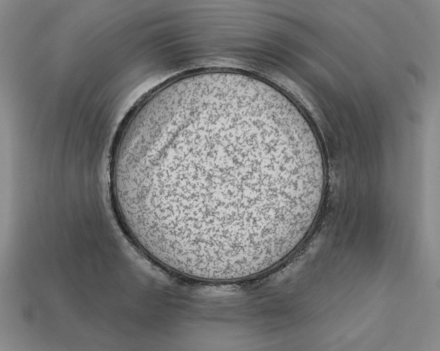 X0000113021133200909241629