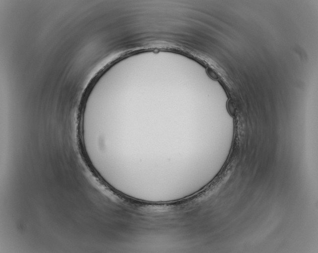 X0000113021134200909241629