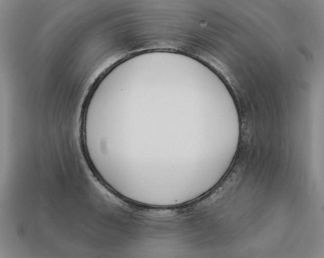 X0000113021135200909241629