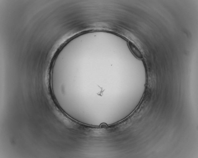 X0000113021136200909241629