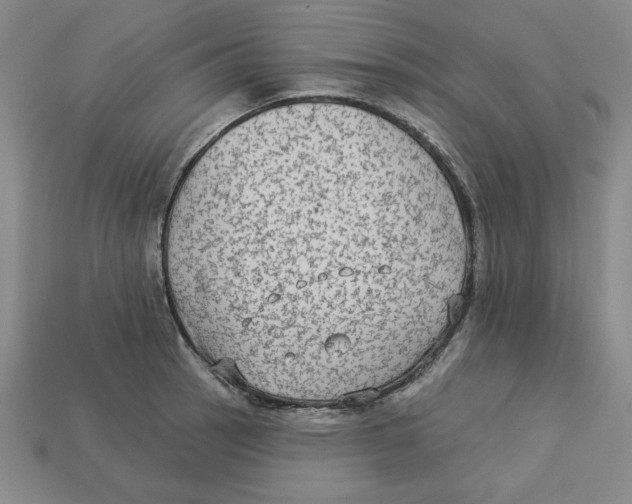 X0000113021137200909241629