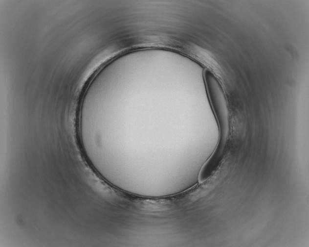 X0000113021138200909241629