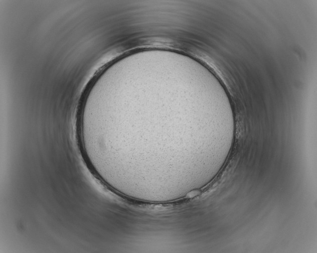 X0000113021139200909241629