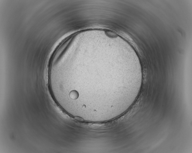 X0000113021140200909241629