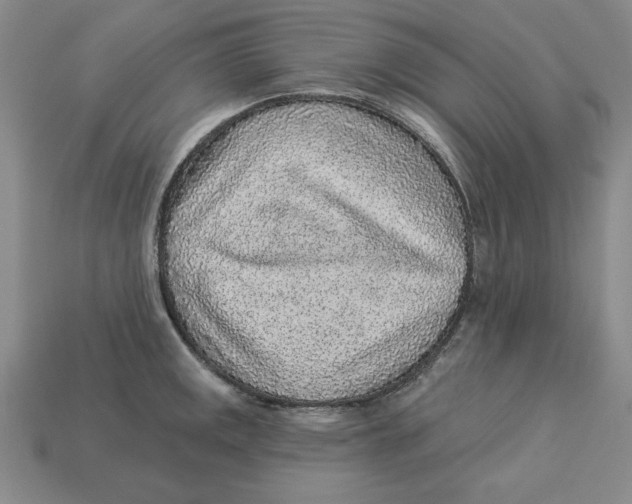 X0000113021141200909241629