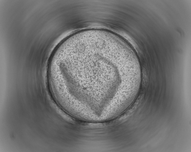 X0000113021142200909241629