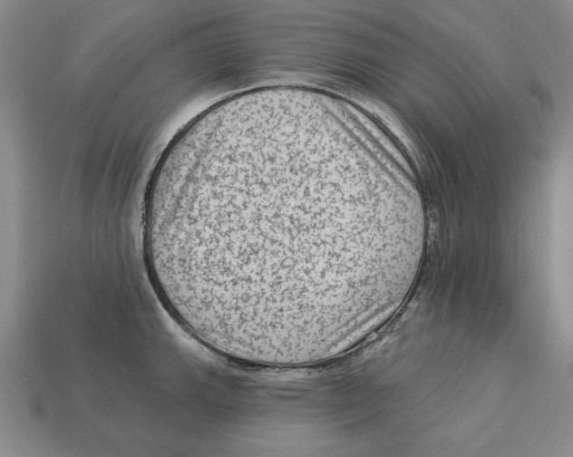 X0000113021143200909241629