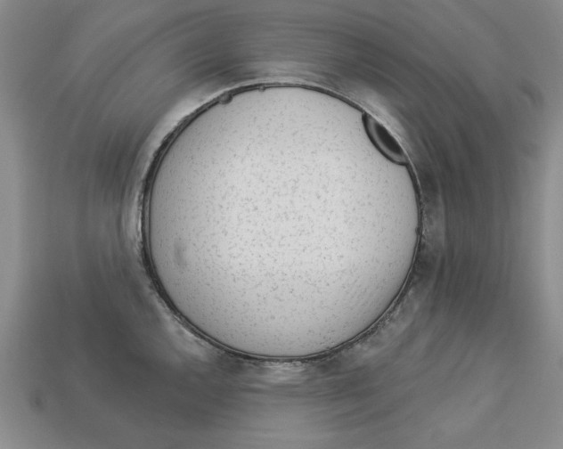 X0000113021144200909241629