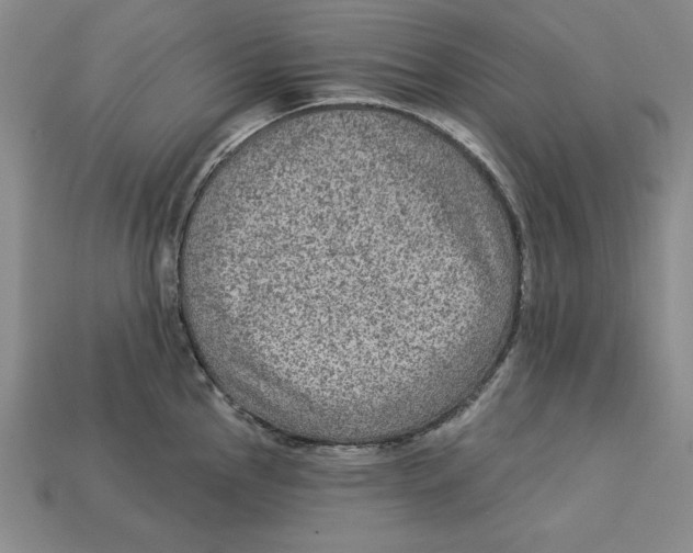 X0000113021145200909241629