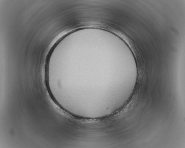 X0000113021147200909241629