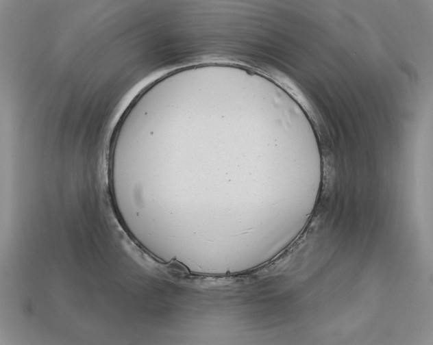 X0000113021148200909241629