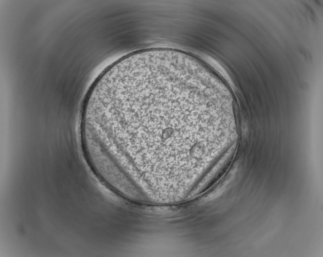 X0000113021149200909241629