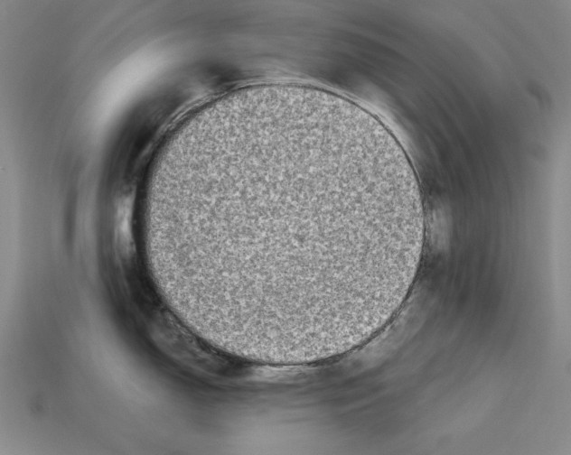 X0000113021150200909241629