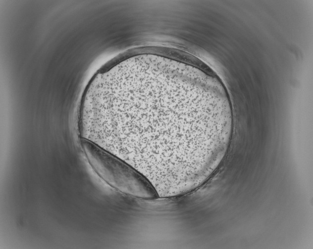 X0000113021152200909241630