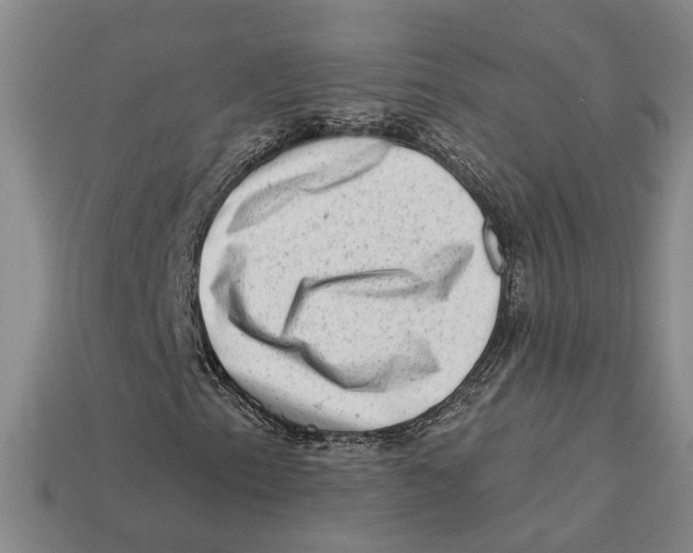 X0000113021153200909241629