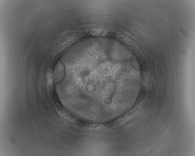 X0000113021154200909241629