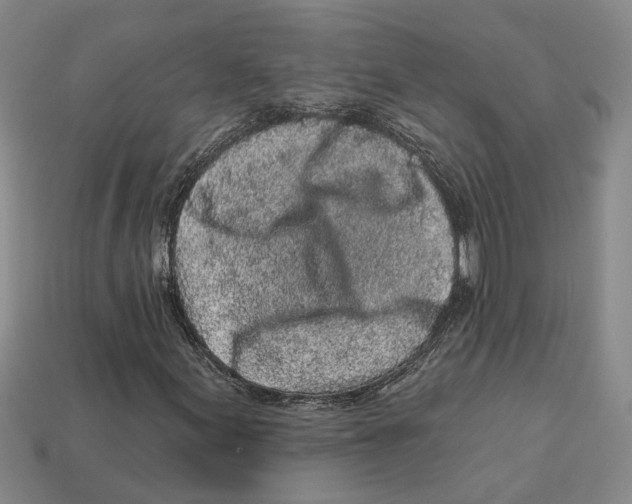 X0000113021155200909241629