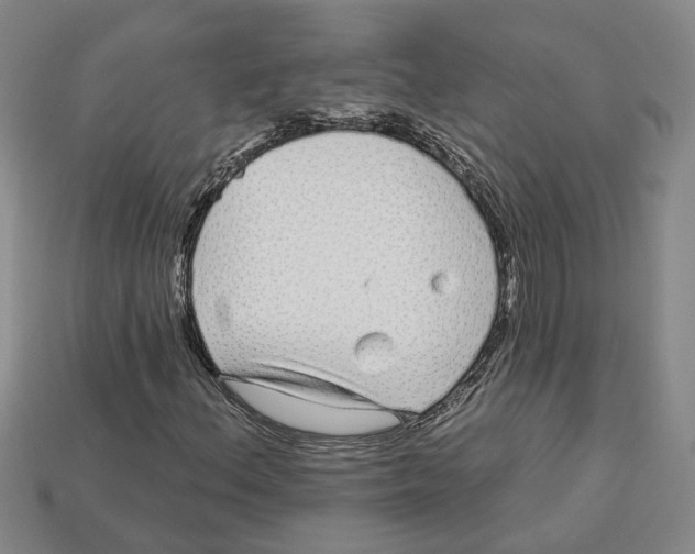 X0000113021156200909241629