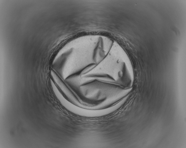 X0000113021157200909241629