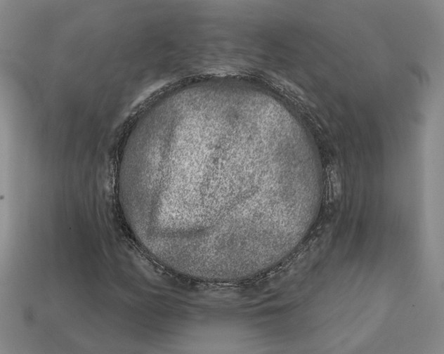 X0000113021158200909241629