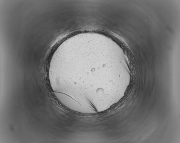 X0000113021160200909241629