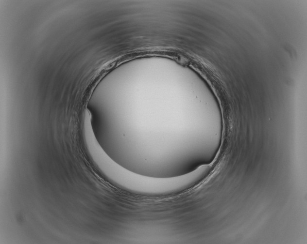 X0000113021161200909241629