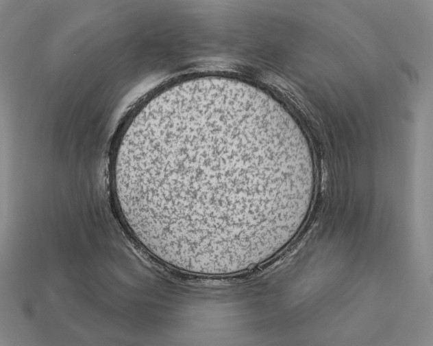 X0000113021164200909241629