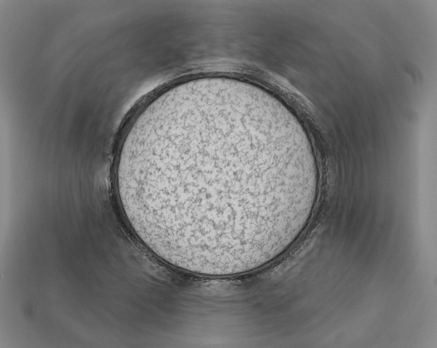 X0000113021166200909241629