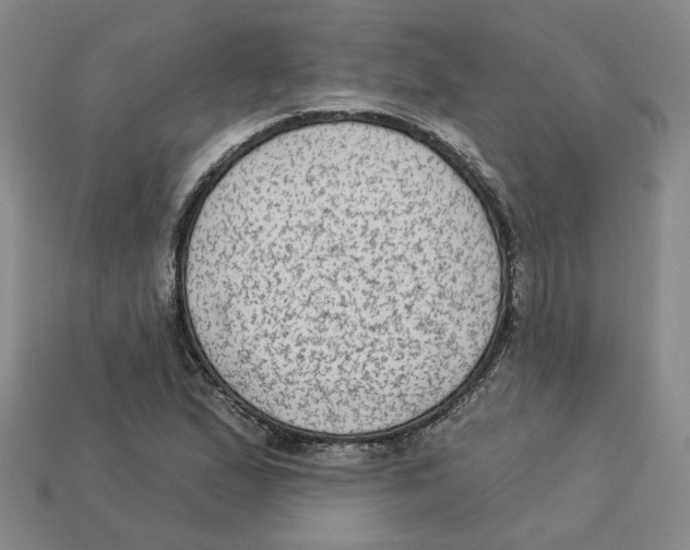 X0000113021167200909241629