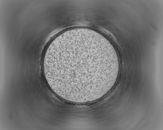 X0000113021168200909241629