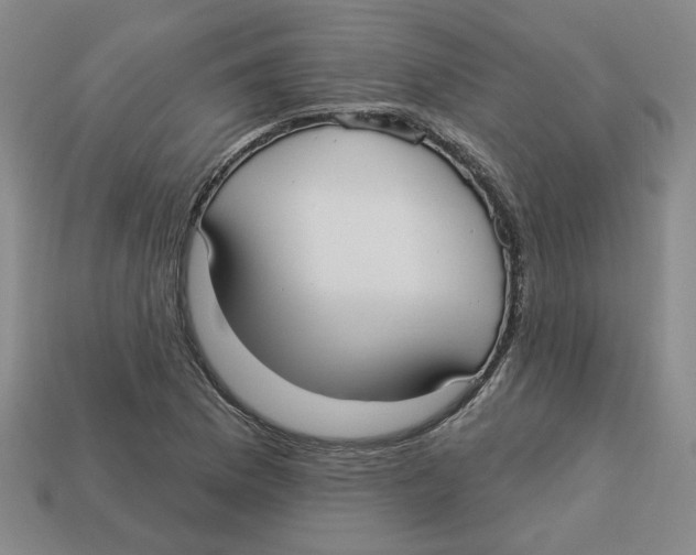 X0000113021169200909241629