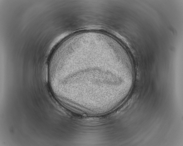 X0000113021171200909241629