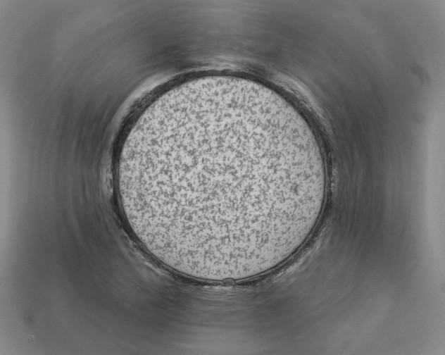 X0000113021172200909241629