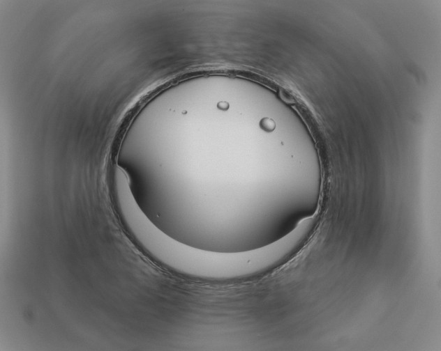 X0000113021173200909241629