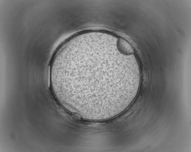 X0000113021175200909241629